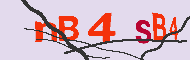 Captcha kode